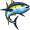 yellowfin5