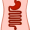 gut5