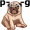 p-u-g5