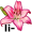 li-ly5