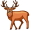 elk5