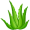 aloe5