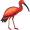 ibis5