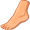 limb5