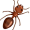 ant5