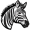 zebra5