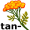 tan-sy5