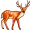 deer5