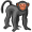 ape5