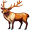 elk5