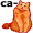 ca-t5