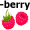 rasp-berry5