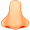 nose5