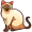 siamese5