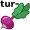 tur-nip5