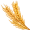 rye5