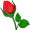 bud5