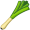 leek5
