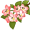 bloom5