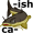 ca-tf-ish5