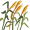 reed5