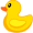 duck5