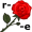 r-os-e5