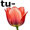 tulip5