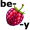 berry5