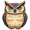 owl5