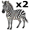 zebra5