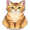 cat5