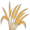 rye5