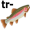 trout5