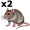 rat5