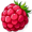 raspberry5