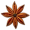 anise5