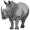 rhino5