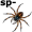 spider5