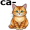 cat5