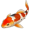 koi5