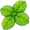 mint5
