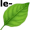 leaf5