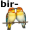 birds5