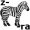 zebra5