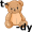 teddy5