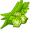 okra5