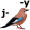 j-a-y5
