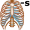 rib-s5