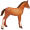 colt5